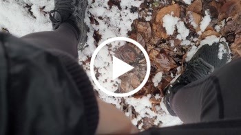 In den Wald gepinkelt - Private Porn - Jetzt ansehen