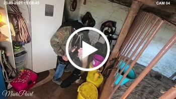 Peinlich! Ich und BBC von Überwachungskamera gefilmt worden - MaviePearl