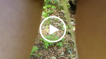 pb xl ba7ee66d37b0518f5e4273b609350229 1 8 - Auf Waldweg gepinkelt 2 2023