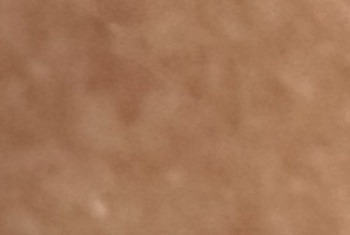 xl d0f15dac49711ad3fe0f285001cee729 - Honey01