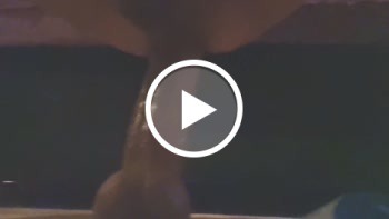 Ich liiiiiebe anal!!! - Analsex, arschfotze, Dildos, gegenstände, MagicWo-Man, man, Masturbieren, nahaufnahme, porno, Transen, vibrator