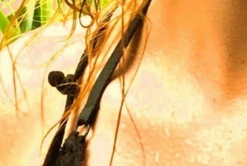 SofiaSinful - Amateur, Neu